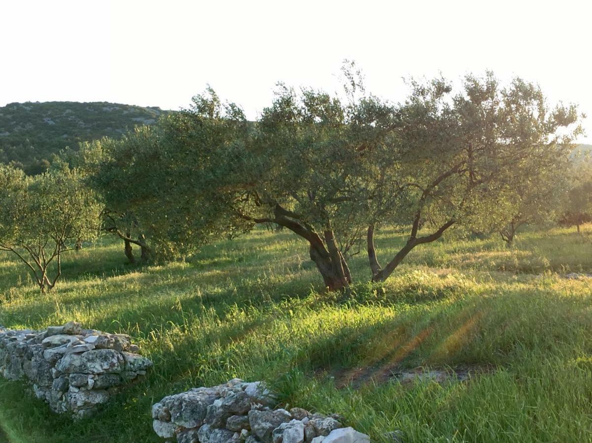 Lavanda Tribalj Exterior foto